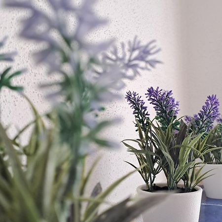 La Tappa Del Vignaiolo Home Mamoiada Zewnętrze zdjęcie