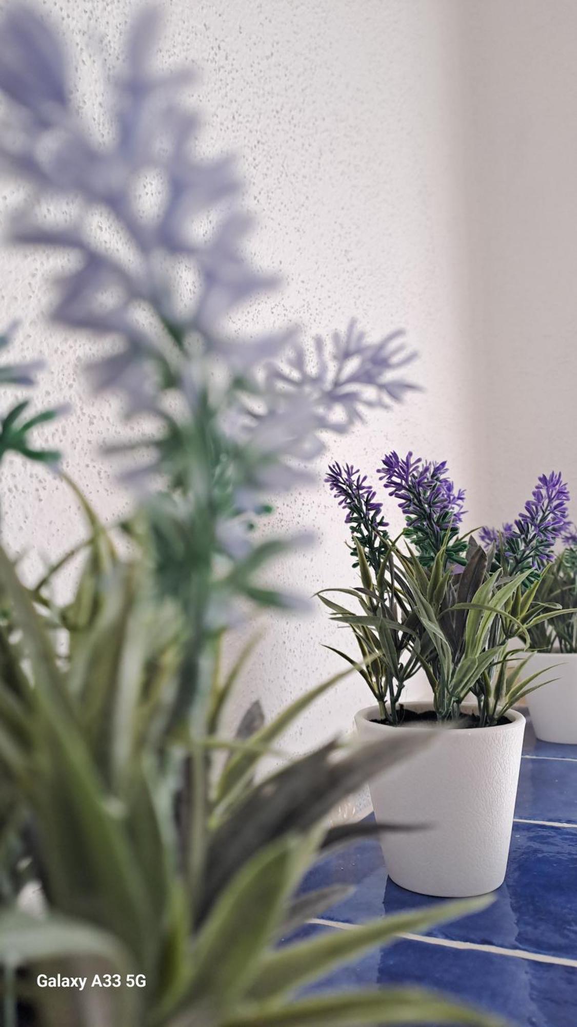La Tappa Del Vignaiolo Home Mamoiada Zewnętrze zdjęcie